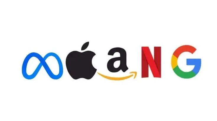 FAANG companies: entry process and requirements